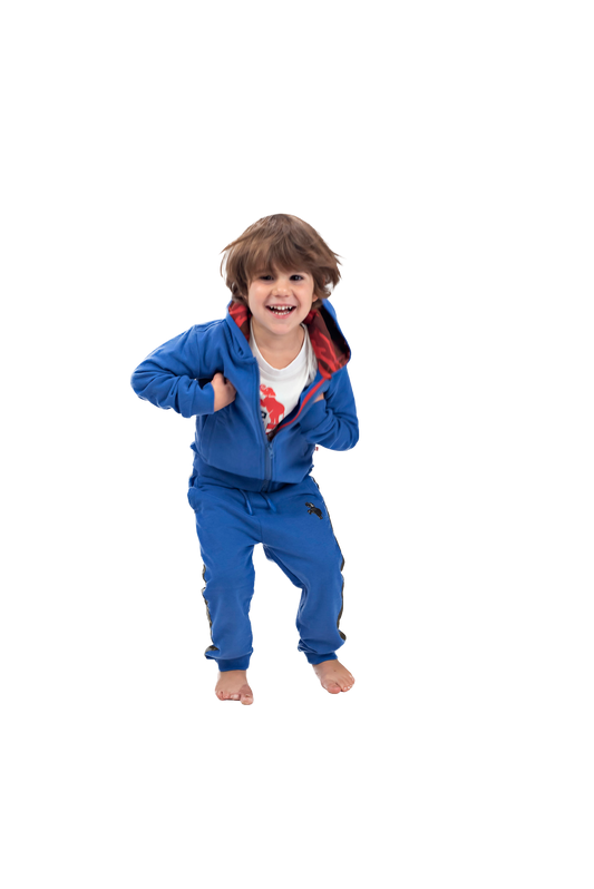 Boys Athletic Cotton Zipper Hoodie - Blue