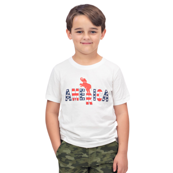 Boys Short Sleeve T-shirt - America with Elephant