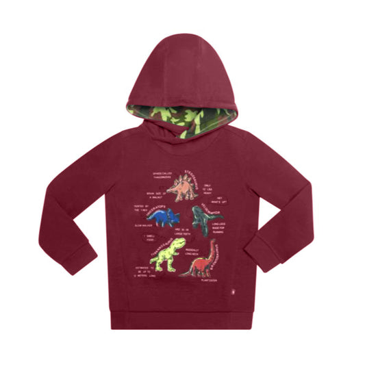 Boys Sweatshirt (Dino Facts Maroon)