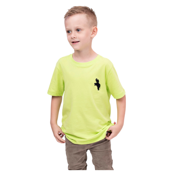 Boys Short Sleeve T-shirt - Neon