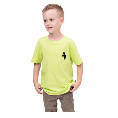 Boys Short Sleeve T-shirt - Neon