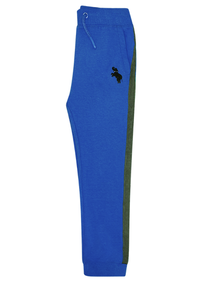 Boys Jogger Pants - Blue